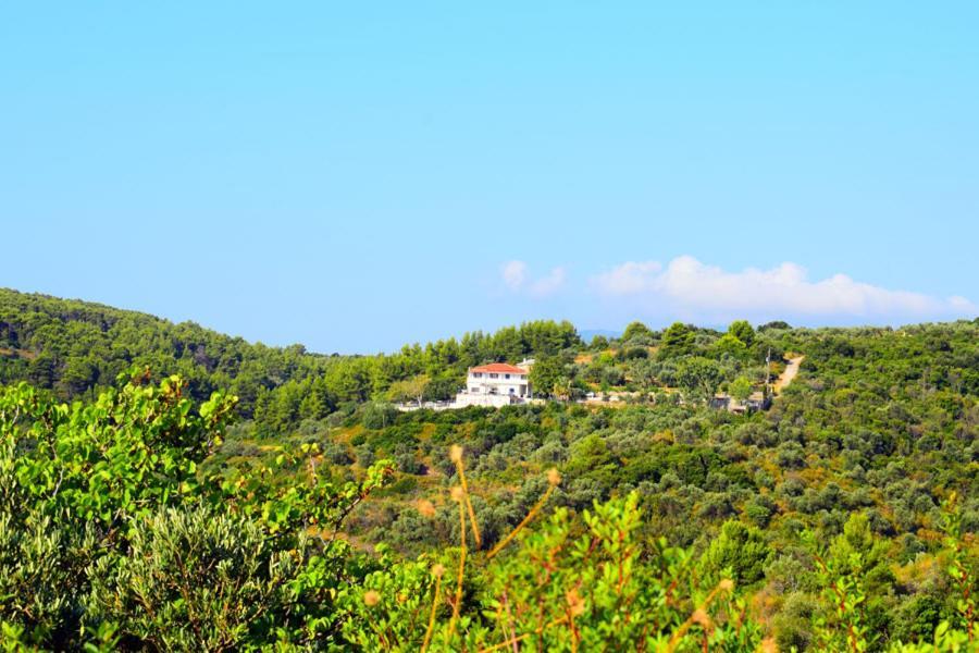 Rizos Veranda - Rooms Isomata Exterior photo